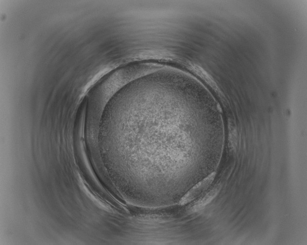 X0000063460530200601271606