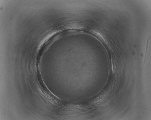 X0000063460531200601271606