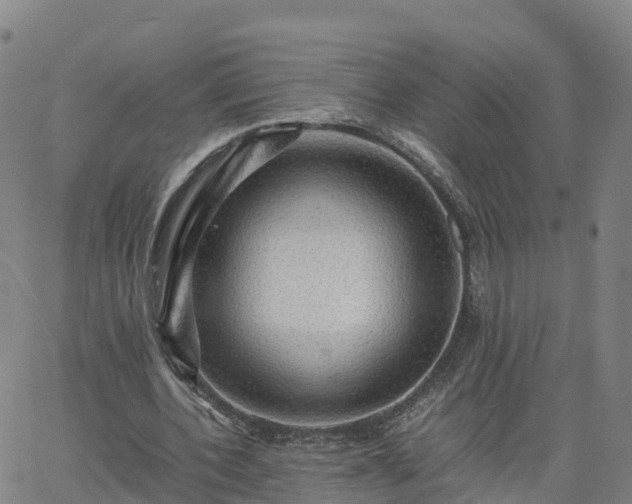 X0000063460532200601271606