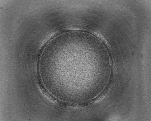 X0000063460533200601271606