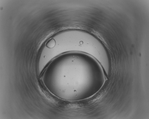 X0000063460534200601271606