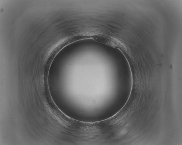 X0000063460535200601271606