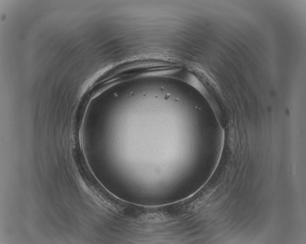 X0000063460536200601271606