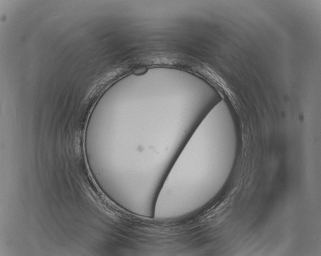 X0000063460537200601271607