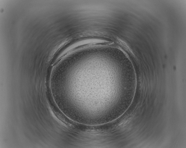 X0000063460538200601271607