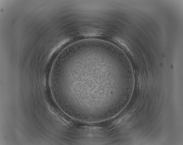 X0000063460539200601271607