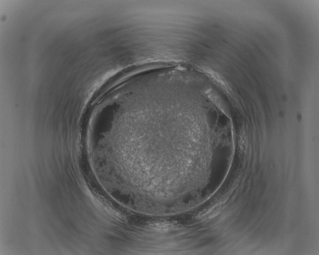 X0000063460540200601271607