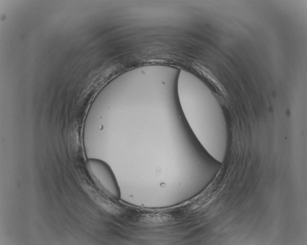 X0000063460541200601271607