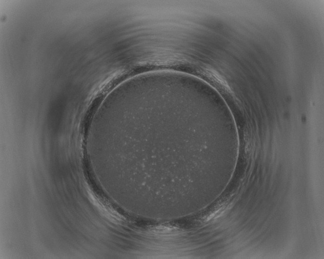 X0000063460542200601271607