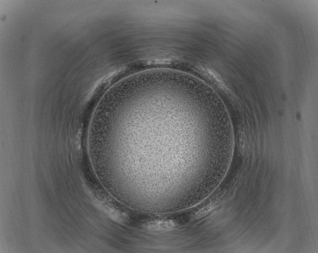 X0000063460543200601271607