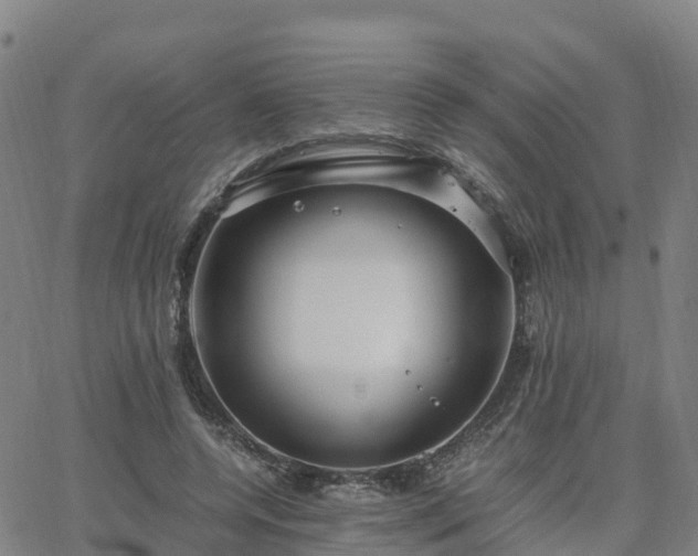 X0000063460544200601271607