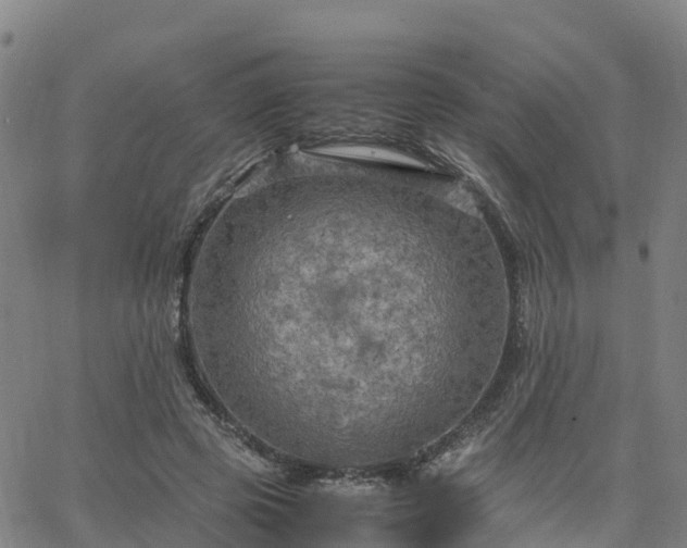 X0000063460545200601271607