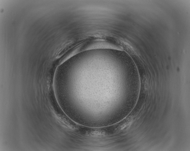 X0000063460546200601271607