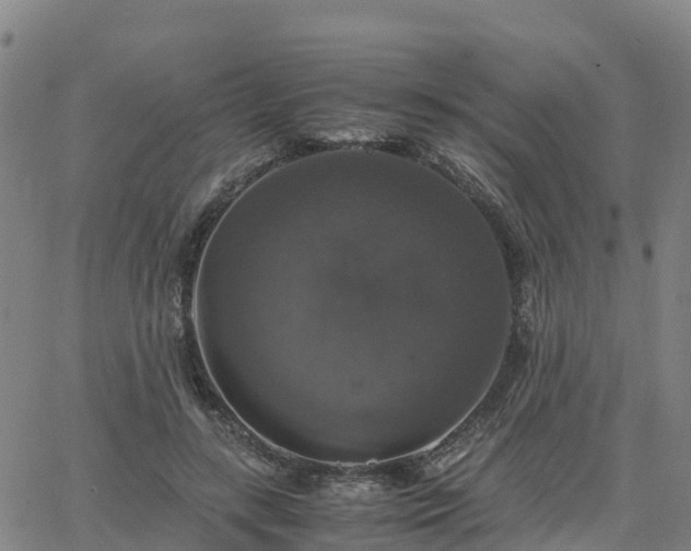 X0000063460547200601271607