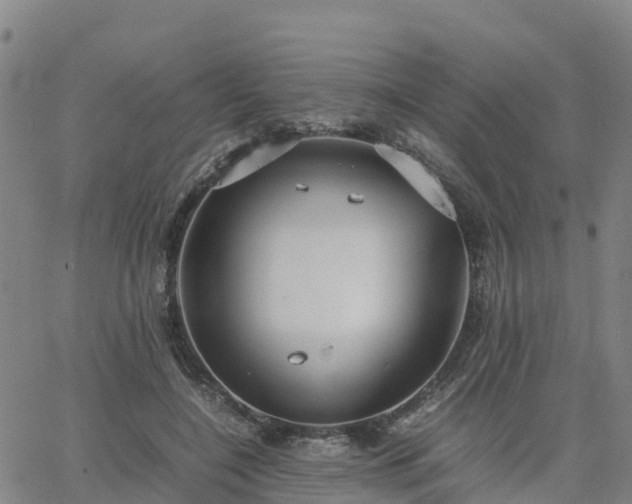 X0000063460548200601271607