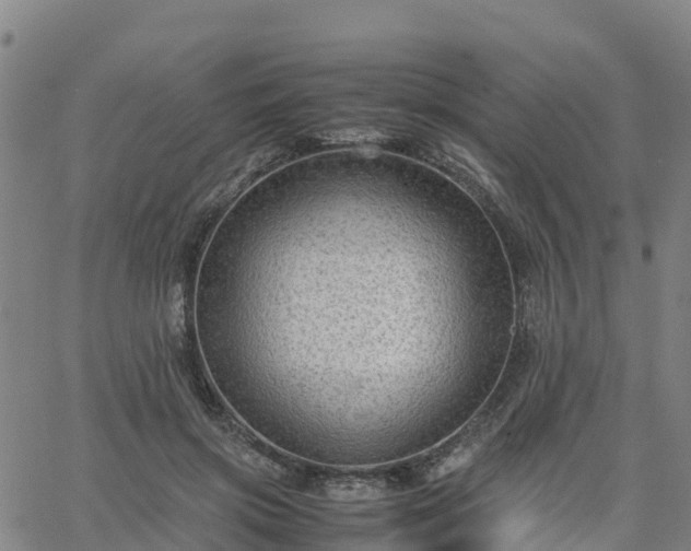 X0000063460549200601271607