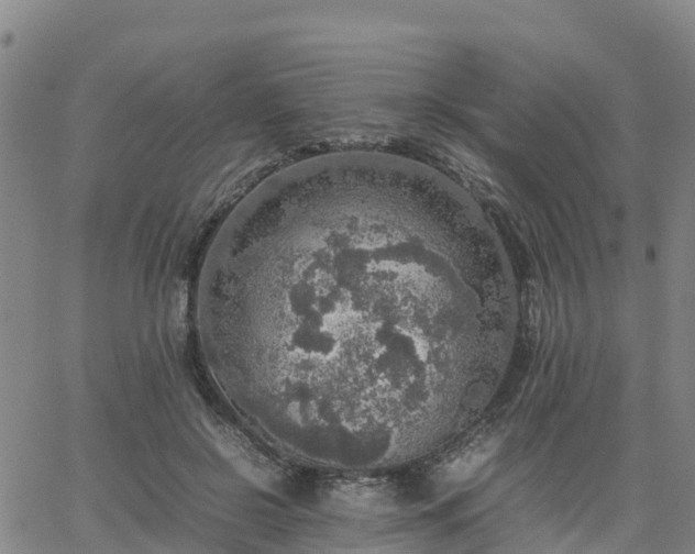 X0000063460550200601271607