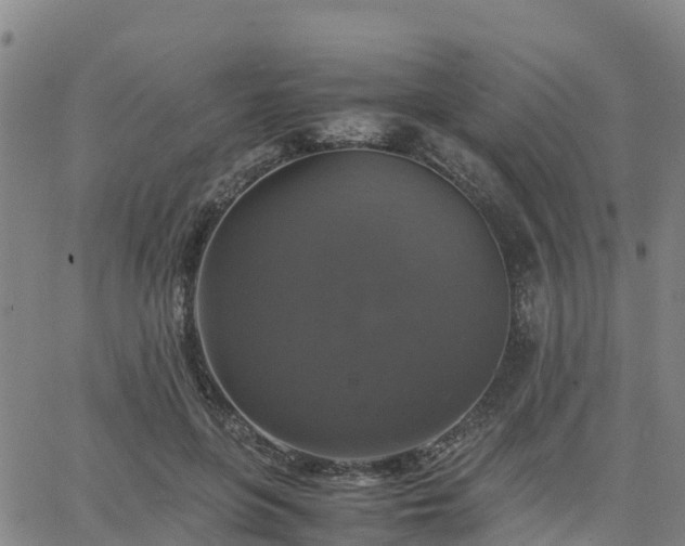 X0000063460551200601271607