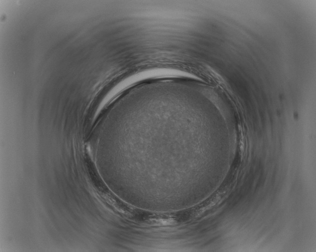 X0000063460552200601271607