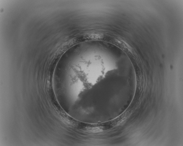 X0000063460553200601271607