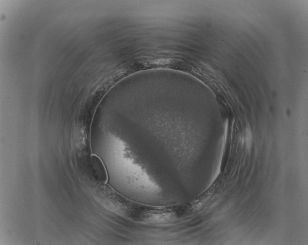 X0000063460555200601271607