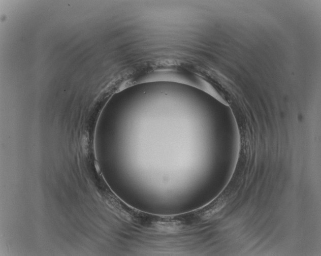 X0000063460556200601271607