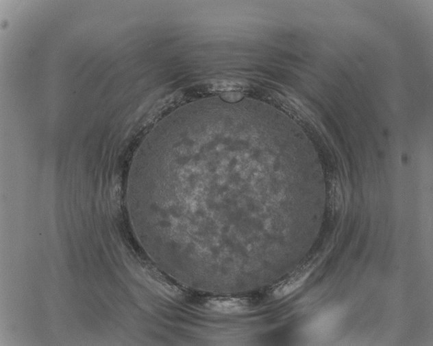 X0000063460557200601271607