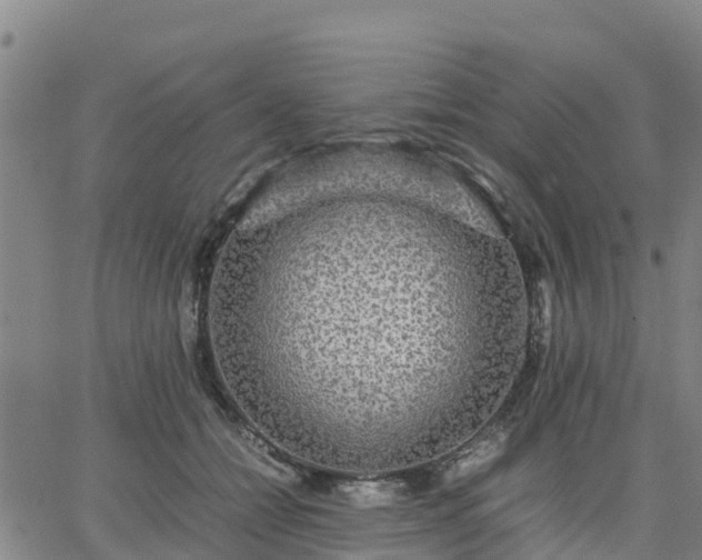 X0000063460558200601271607