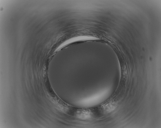 X0000063460559200601271607