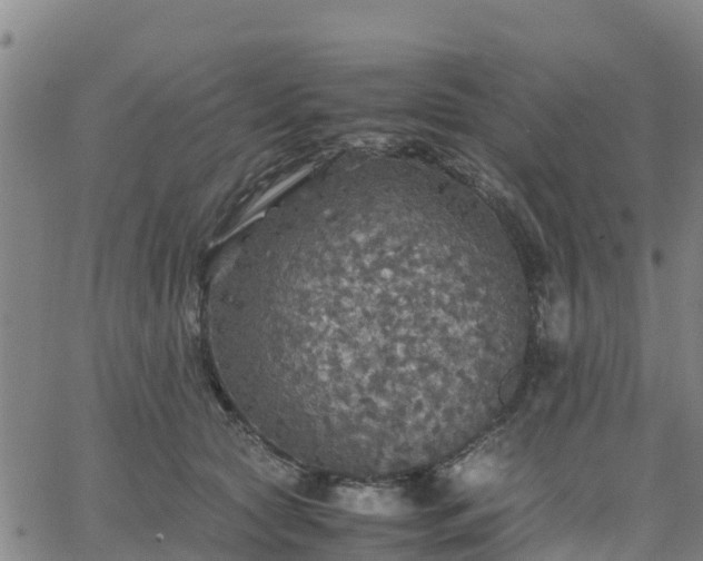 X0000063460561200601271607