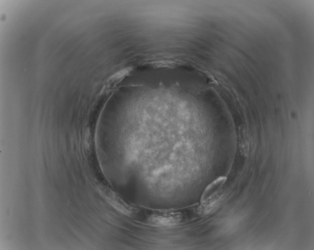 X0000063460563200601271607