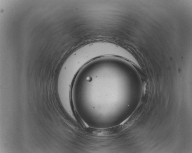 X0000063460564200601271607