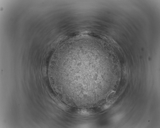 X0000063460565200601271607