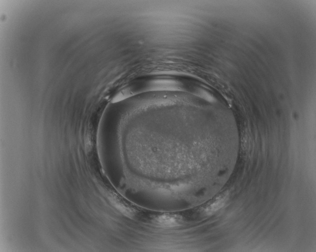 X0000063460566200601271607