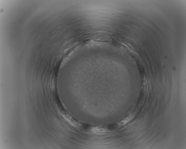 X0000063460568200601271607