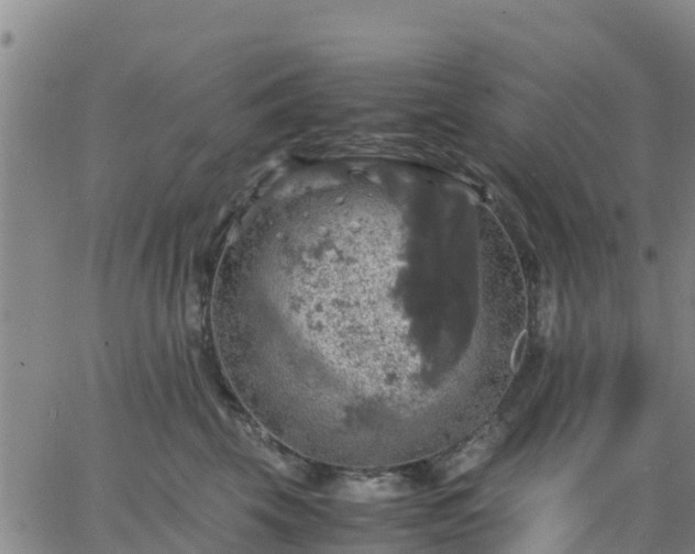 X0000063460569200601271607