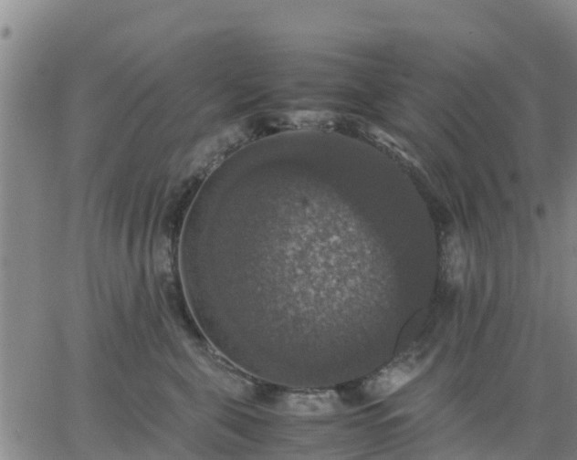 X0000063460571200601271607