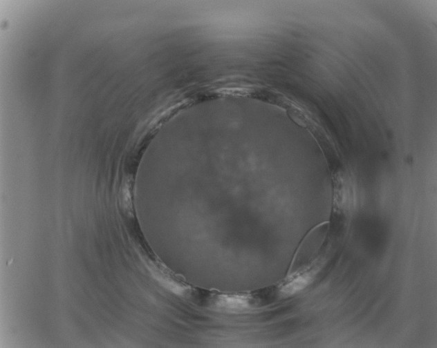 X0000063460573200601271607