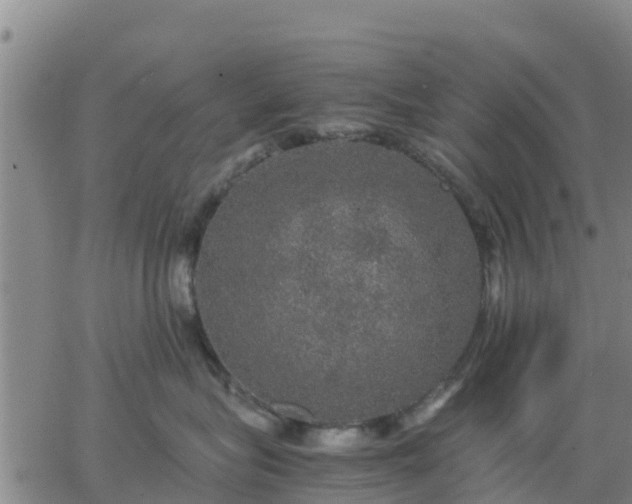 X0000063460575200601271607