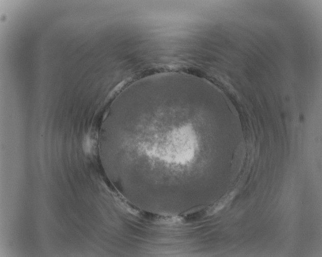 X0000063460576200601271607