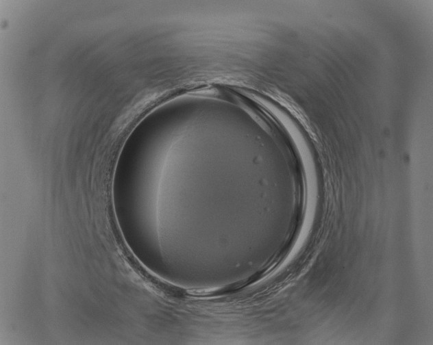 X0000063460577200601271606