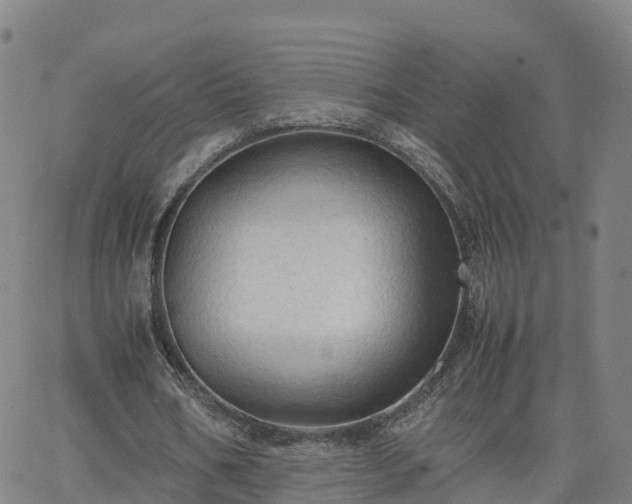 X0000063460578200601271606