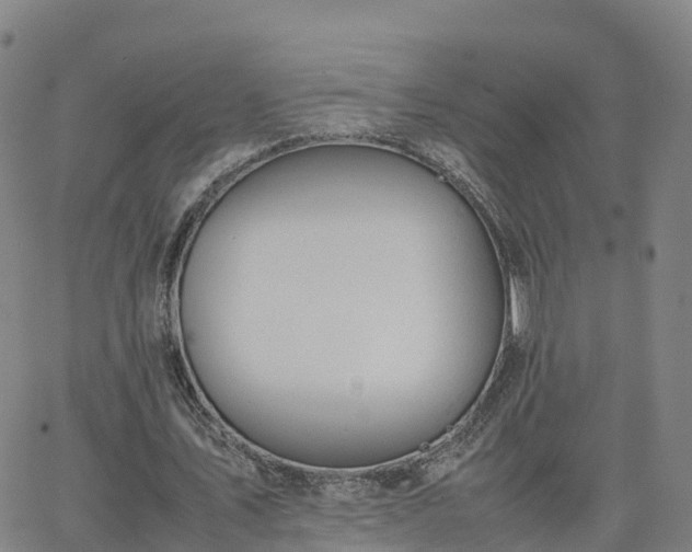 X0000063460579200601271606