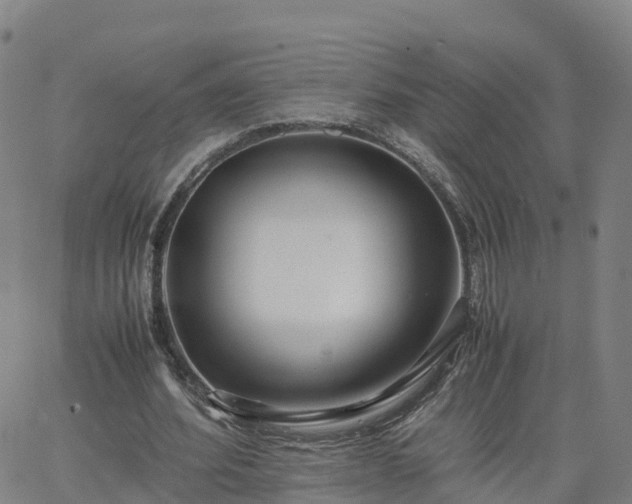 X0000063460580200601271606