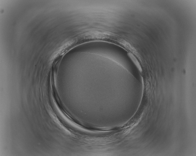 X0000063460581200601271606