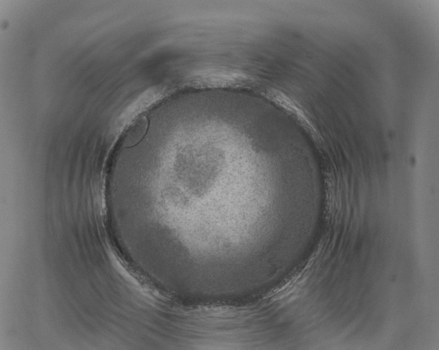 X0000063460582200601271606