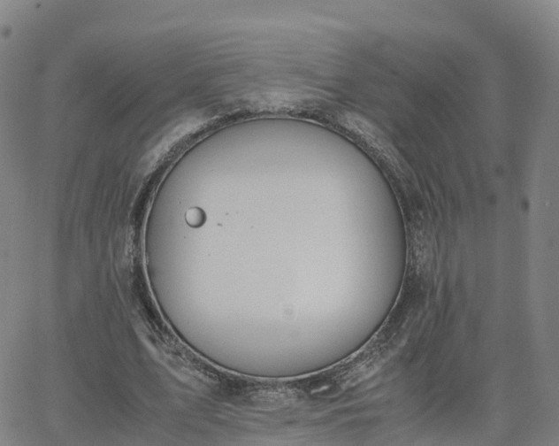 X0000063460583200601271606