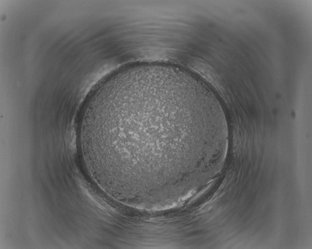 X0000063460584200601271606