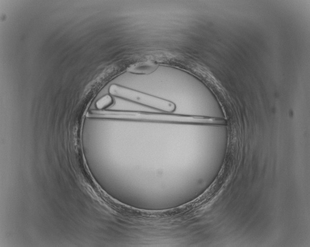 X0000063460585200601271606