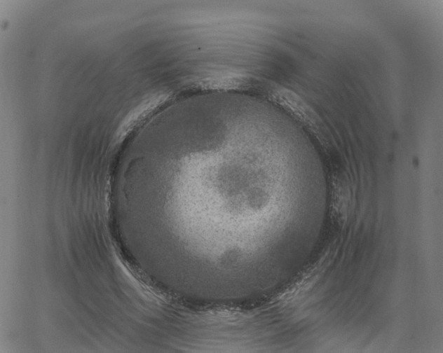 X0000063460586200601271606